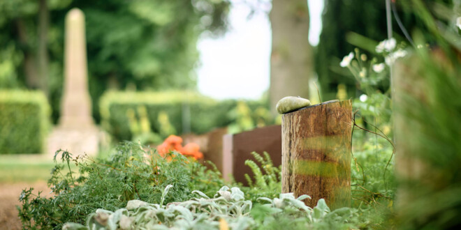 Billede af hånd med bønner formet som et hjerte