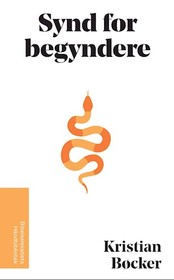 Synd for begyndere - bog