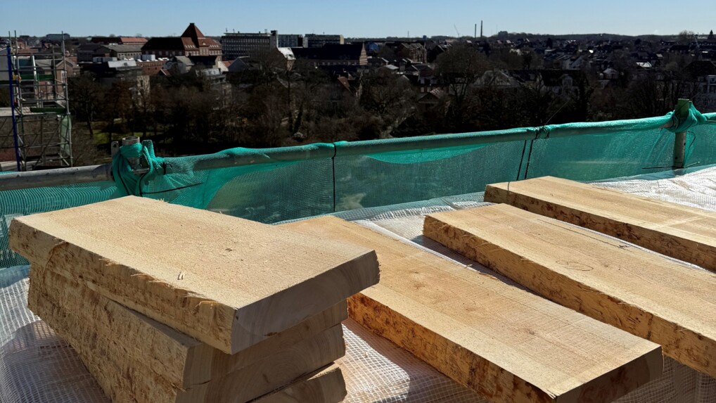 Nyt kernetræ ligger klar til spær