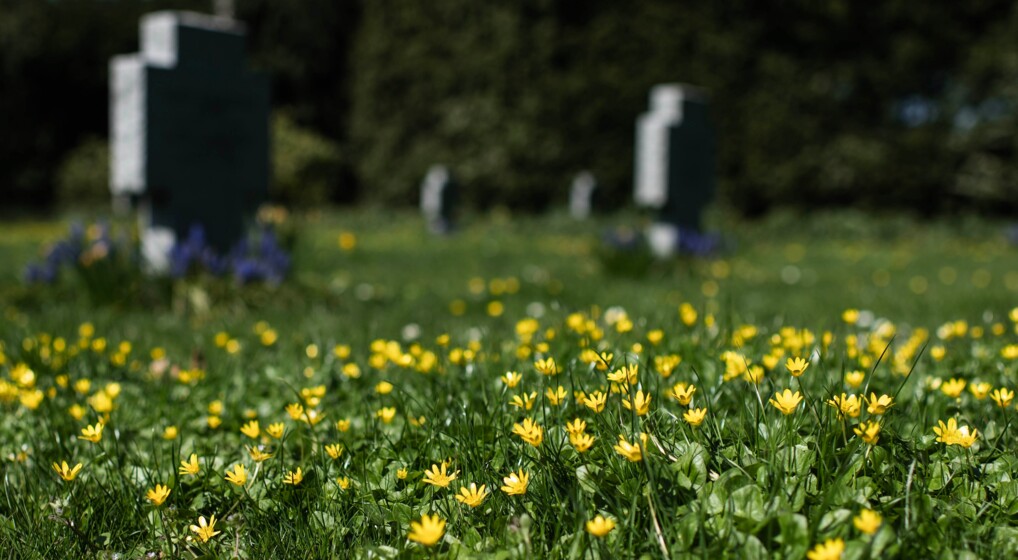 Vorterod ved Fredens Kirke i Svendborg